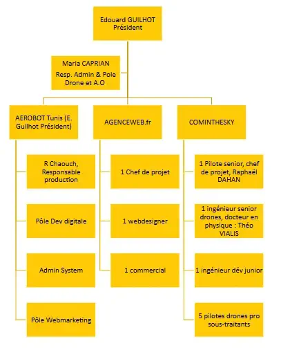 bureau d'études drones, Pilotes drones professionnels
