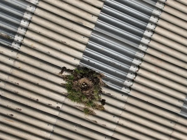 bureau d'études drones, Pilotes drones professionnels