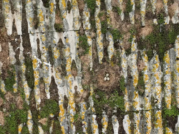 bureau d'études drones, Pilotes drones professionnels