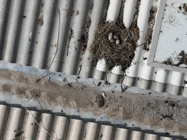 bureau d'études drones, Pilotes drones professionnels