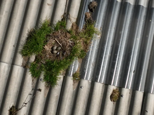 bureau d'études drones, Pilotes drones professionnels