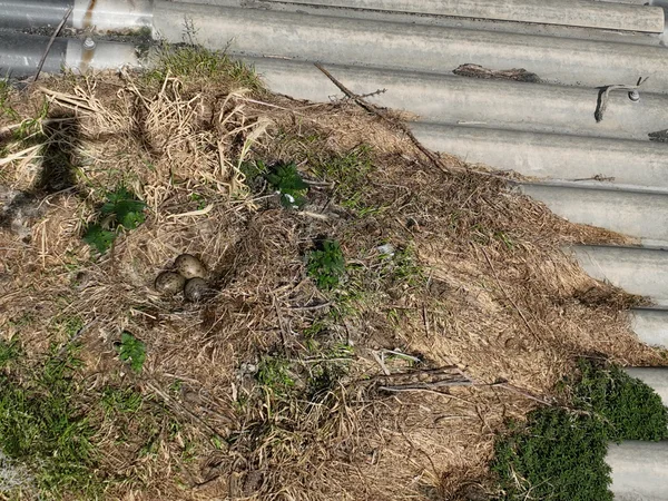 bureau d'études drones, Pilotes drones professionnels