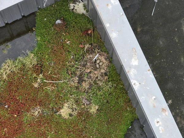 bureau d'études drones, Pilotes drones professionnels