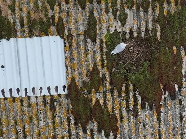 bureau d'études drones, Pilotes drones professionnels