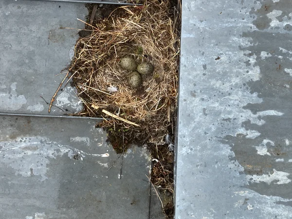 bureau d'études drones, Pilotes drones professionnels