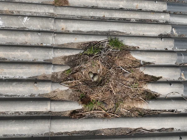 bureau d'études drones, Pilotes drones professionnels