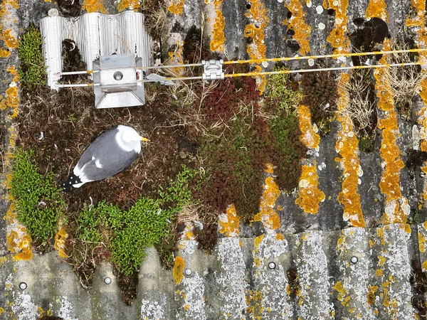 bureau d'études drones, Pilotes drones professionnels