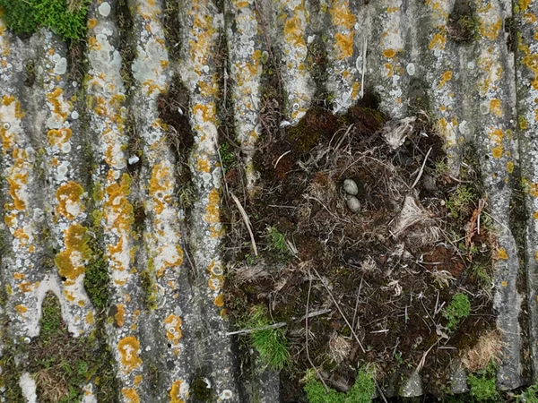 bureau d'études drones, Pilotes drones professionnels