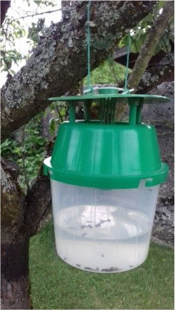 bureau d'études drones, Pilotes drones professionnels